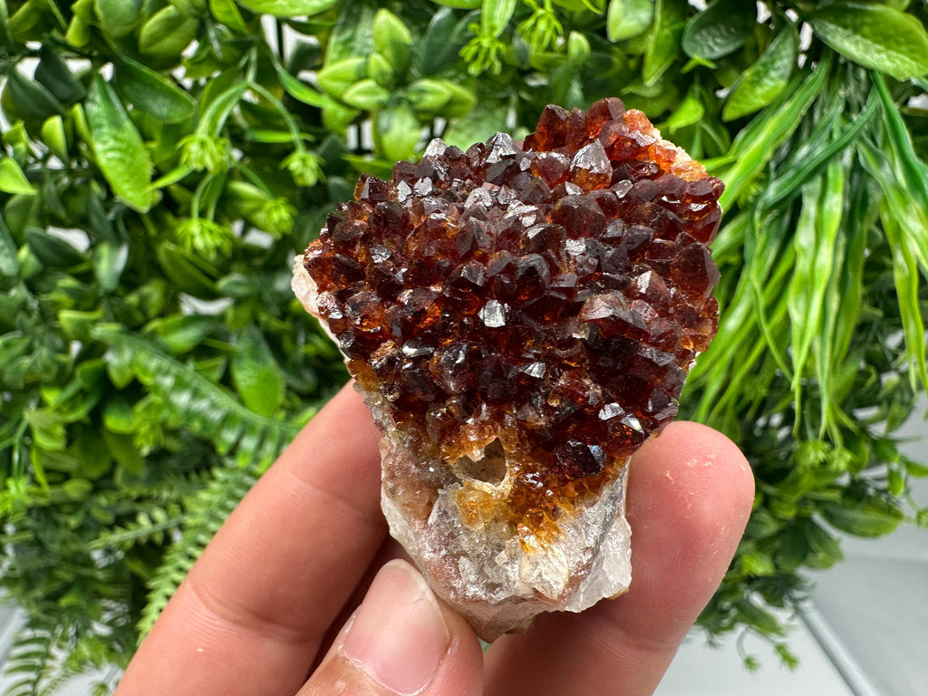 Citrine Crystal Cluster with Hematite Inclusions - Brazil