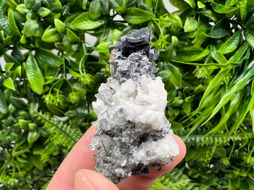 Galena Chalcopyrite on Calcite and Quartz, Natural Mineral Collection, Borieva Bulgaria