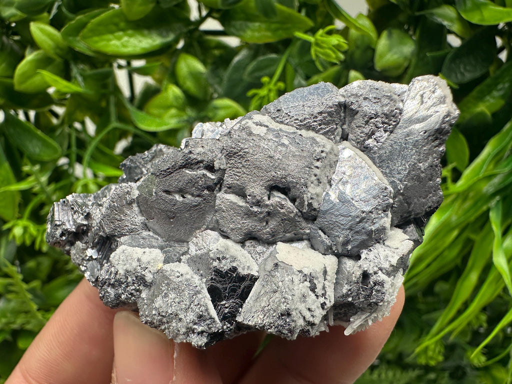 Galena with Quartz Specimen: Krushev Dol Mine, Bulgaria