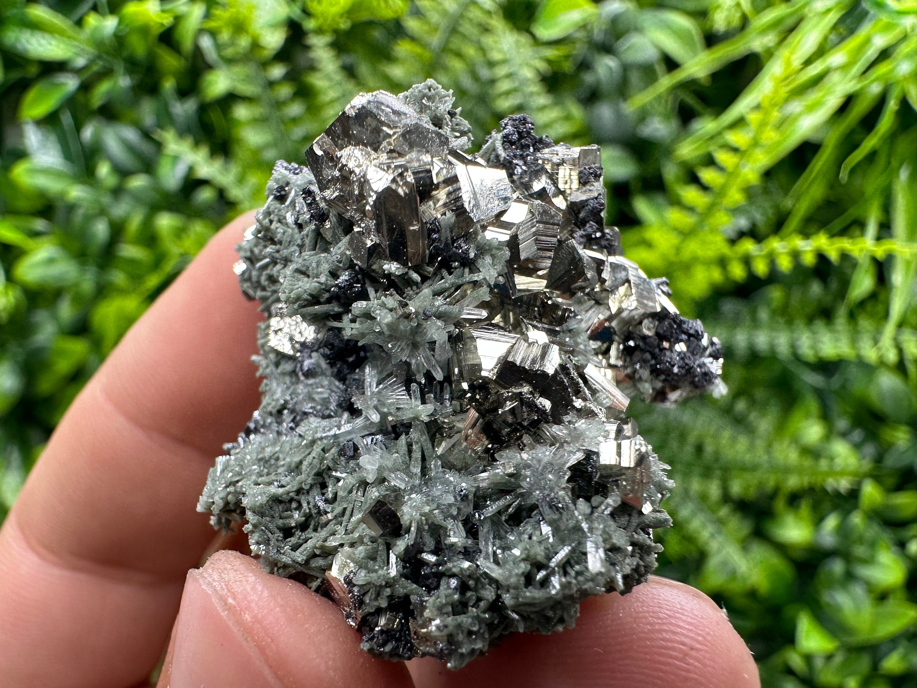 Crystallized Pyrite on Green Quartz: Borieva Mine, Bulgaria