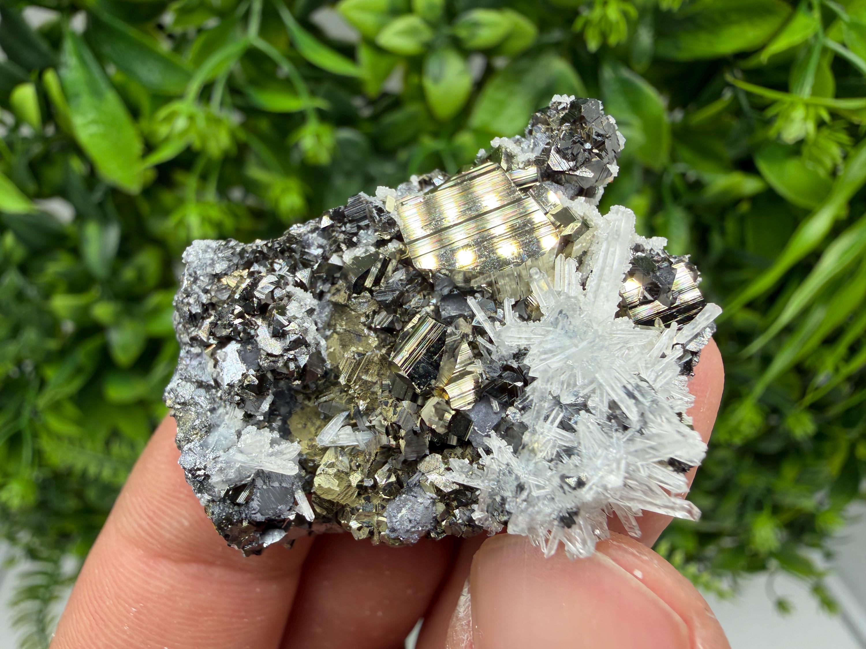 Pyrite Sphalerite Quartz  Mineral Specimen, Krushev dol Mine