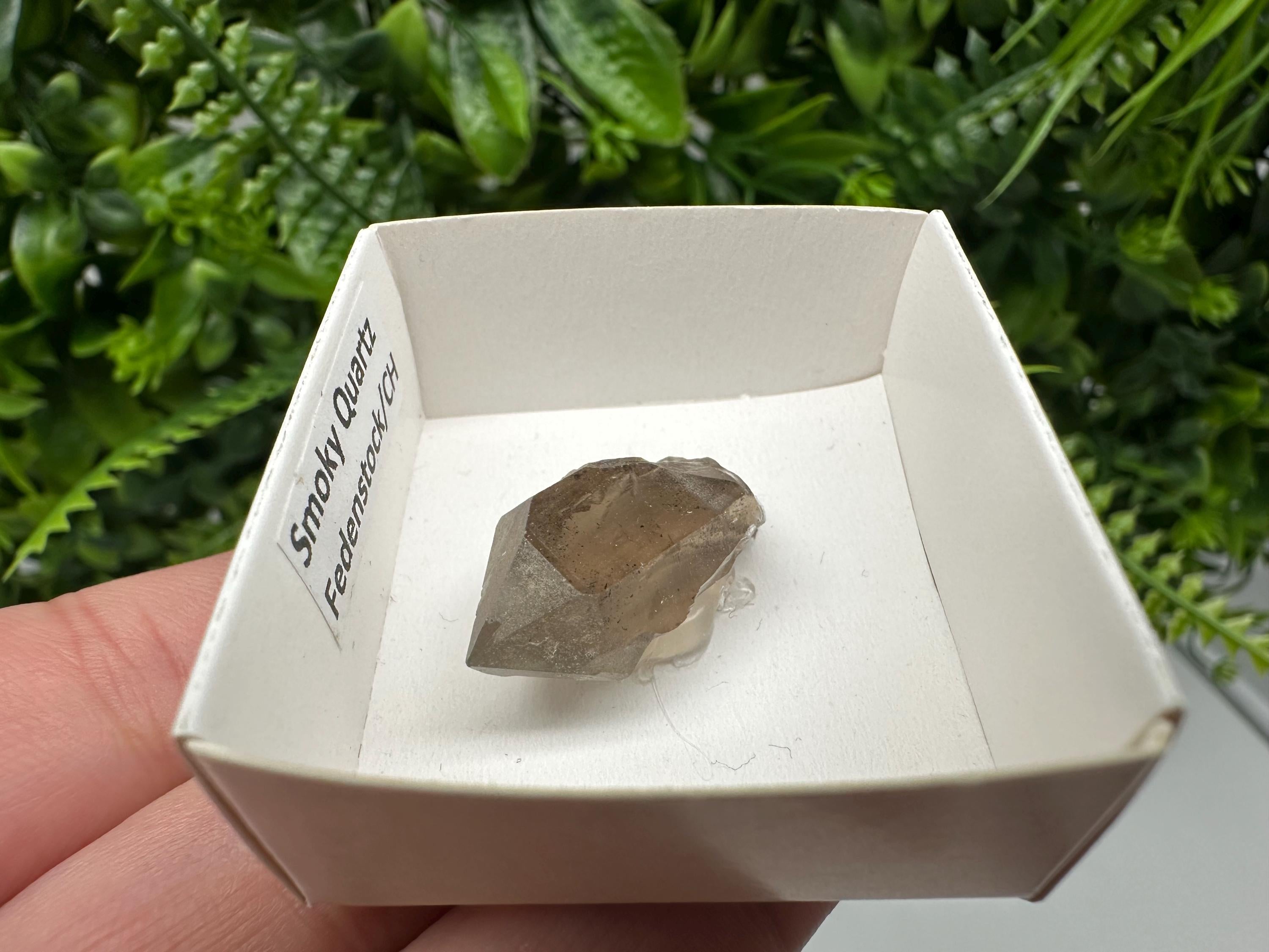 Rare Fedenstock Smoky Quartz Point, Swiss Mineral Specimen (30MM)