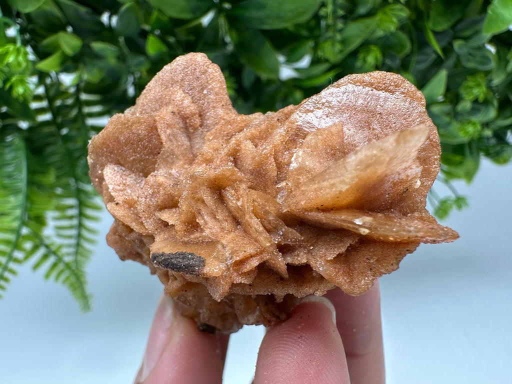 Desert Rose Crystal: Root Chakra Healing Selenite Stone