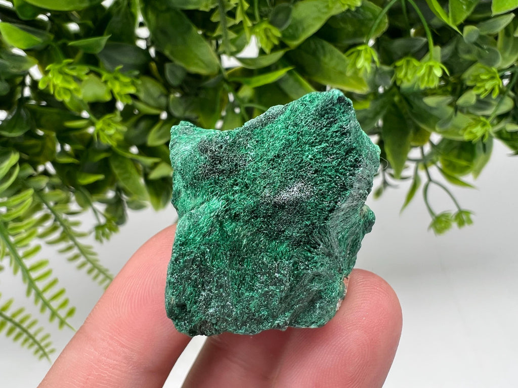 Malachite Crystal from Congo,Minerals,Crystals from Congo,Green Malachite, Malachite,Natural Malachite,Malachite Stone,Chakra, Specimens