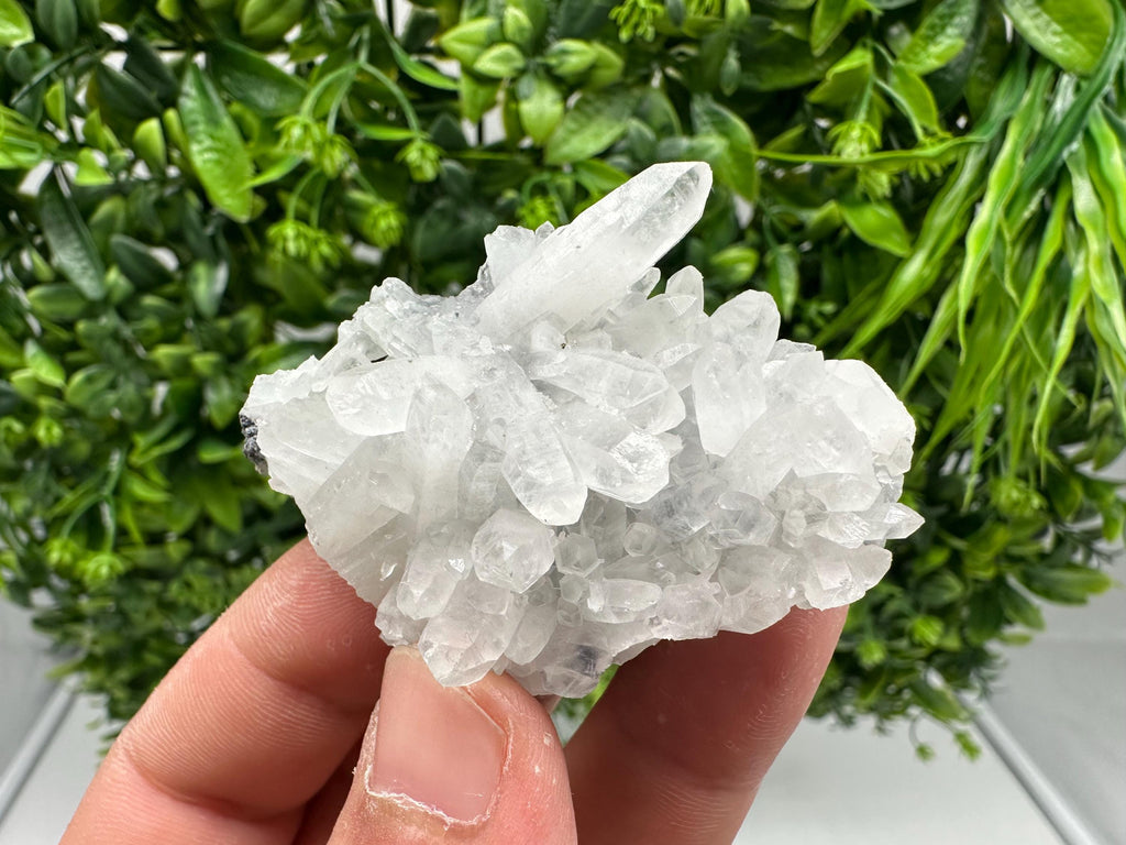 Wonderful Transparent Quartz on Chlorite Matrix,From Borieva mine,Madan,Bulgaria,Quartz,Quartz crystal,mineral specimen,collection quartz