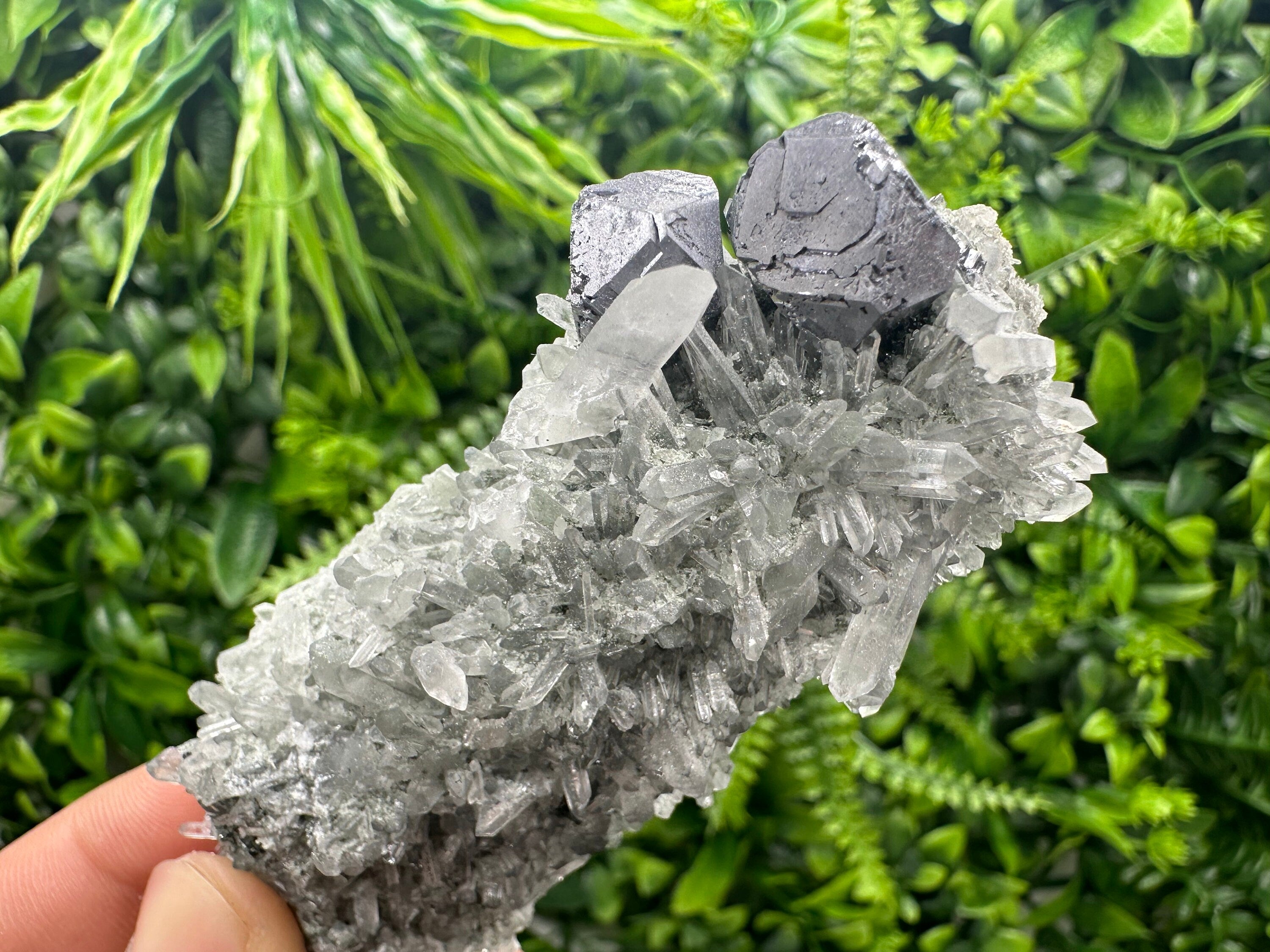 Shiny Galena on Green Quartz with Chlorite Inclusions - Borieva Mine