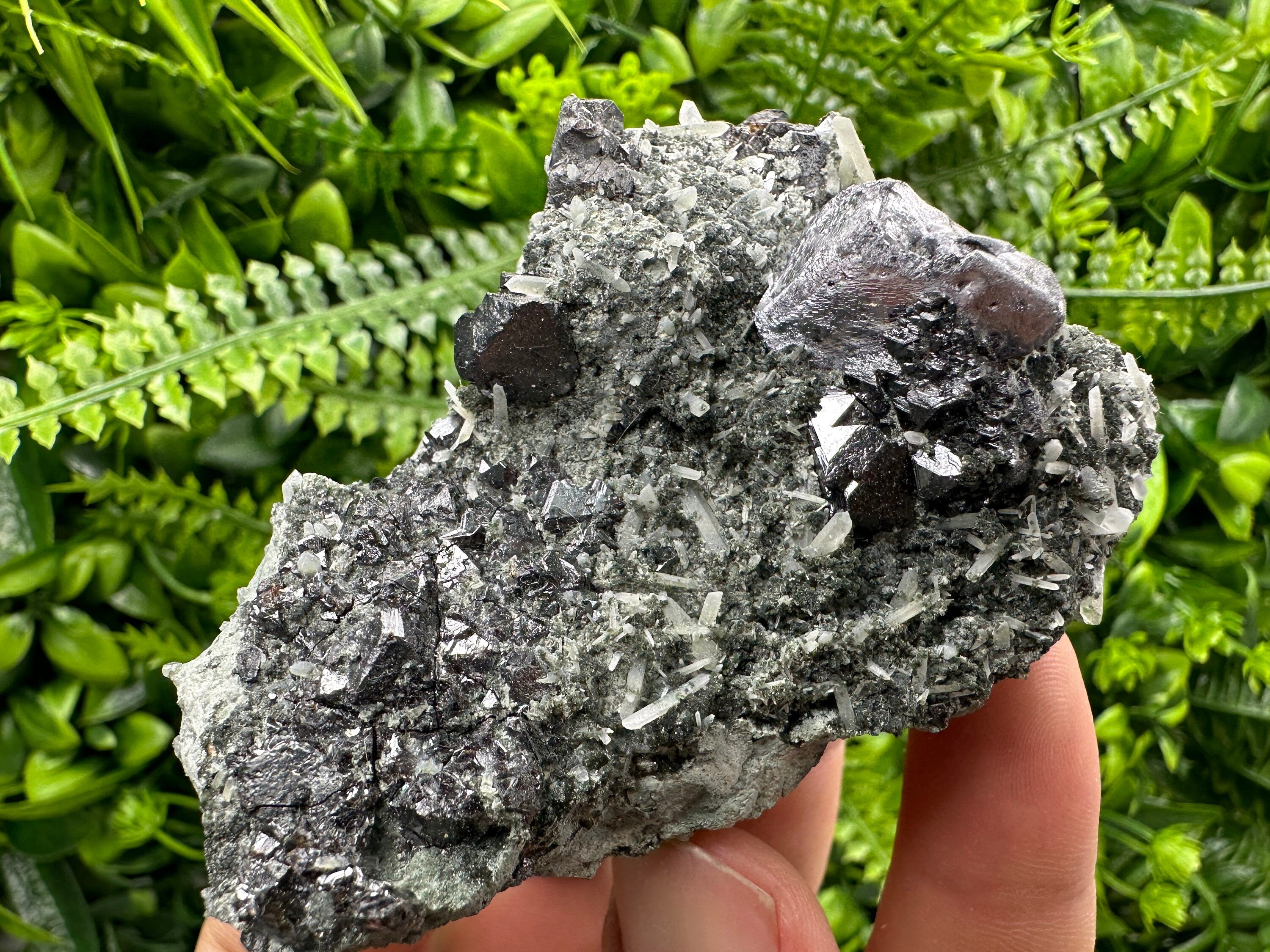 Galena Sphalerite Quartz Mineral Specimen, Borieva Mine Bulgaria