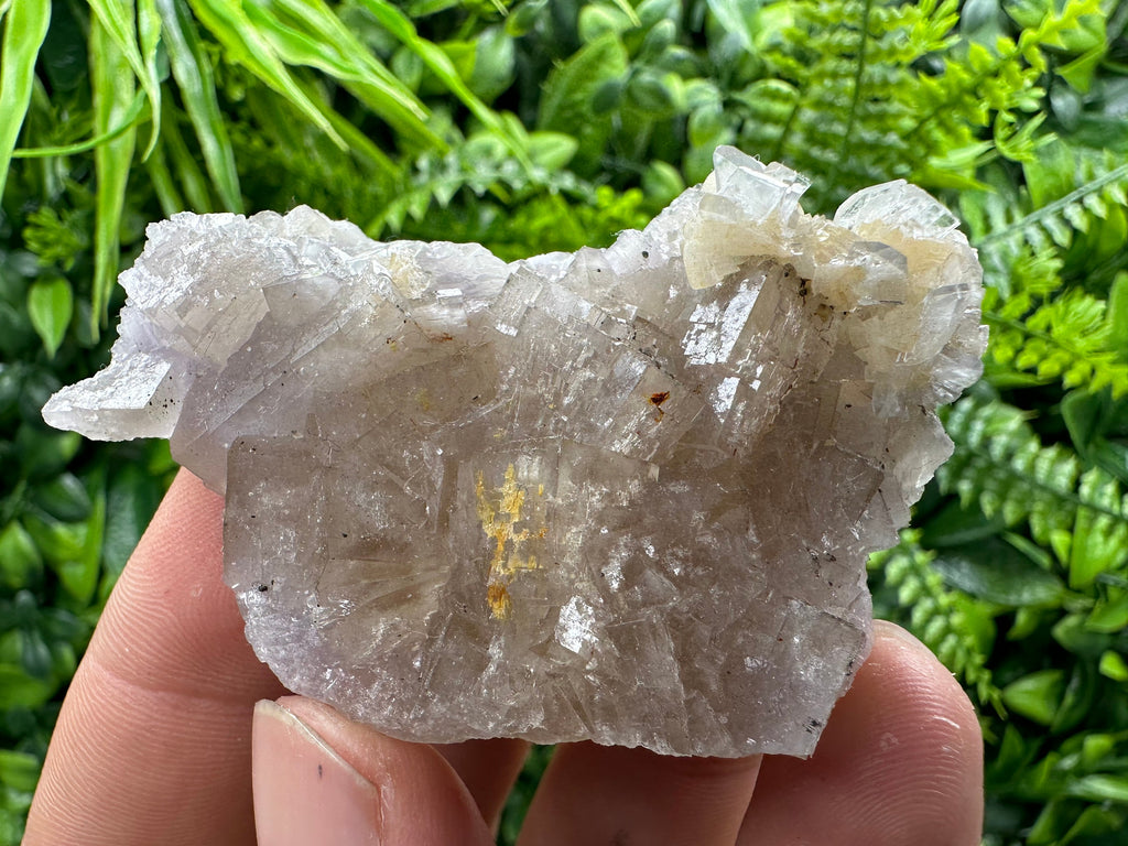 Spanish Fluorite Mineral Specimen: Crystal Collection