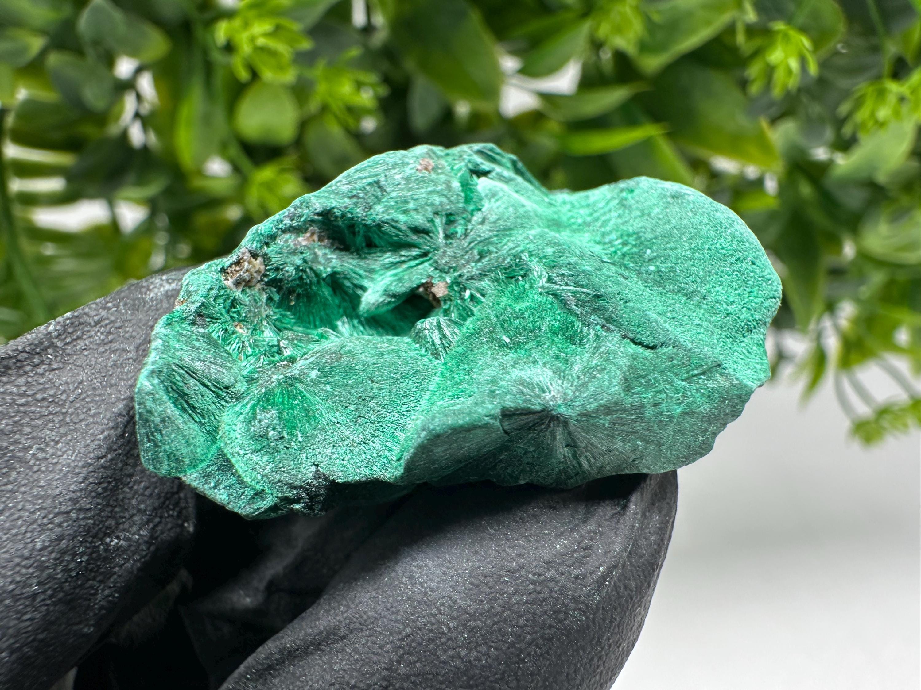 Malachite Crystal from Congo,Minerals,Crystals from Congo,Green Malachite, Malachite,Natural Malachite,Malachite Stone,Chakra, Specimens