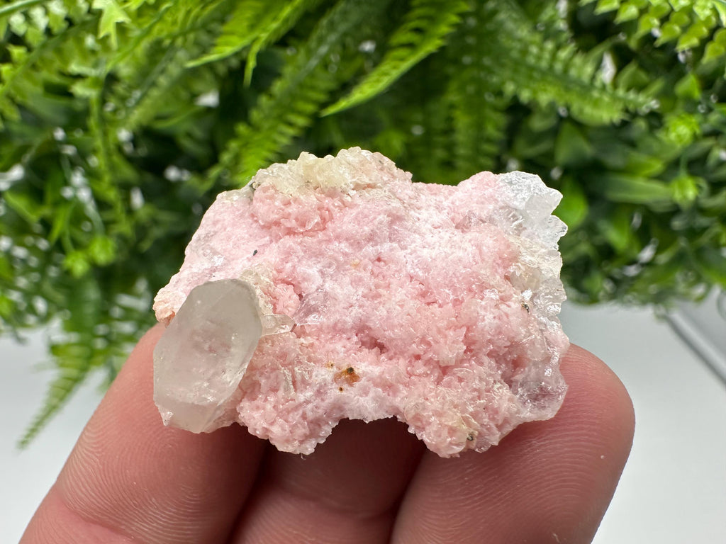 Rhodochrosite on Quartz: Pink Mineral Specimen, Starnica Mine