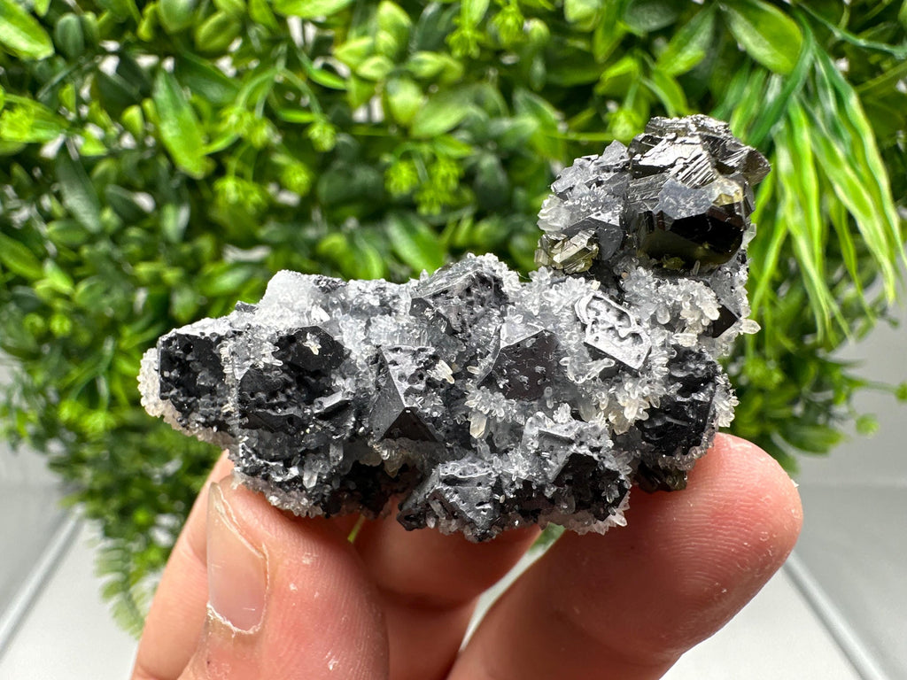 Rare Galena Sphalerite Pyrite Mineral Specimen: Krushev Dol Mine