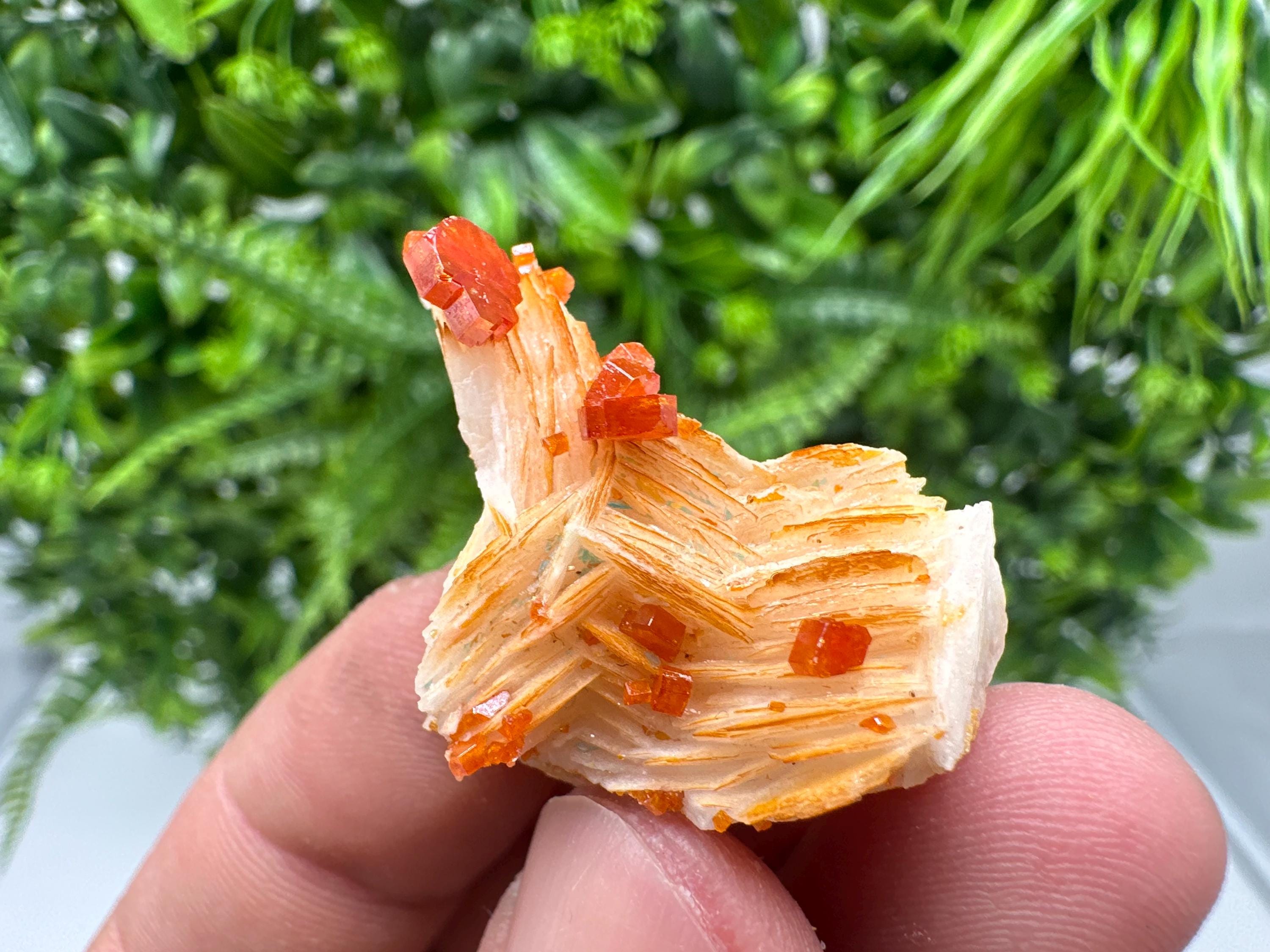 Red Vanadinite on Barite from Marocco,crystal minerals Speciment cluster Vanadinite crystal Vanadinite Geology Vanadinite cluster minerals