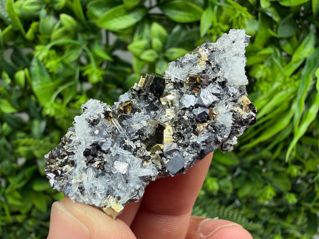 Galena Pyrite Sphalerite Quartz  Mineral Specimen, Krushev dol Mine