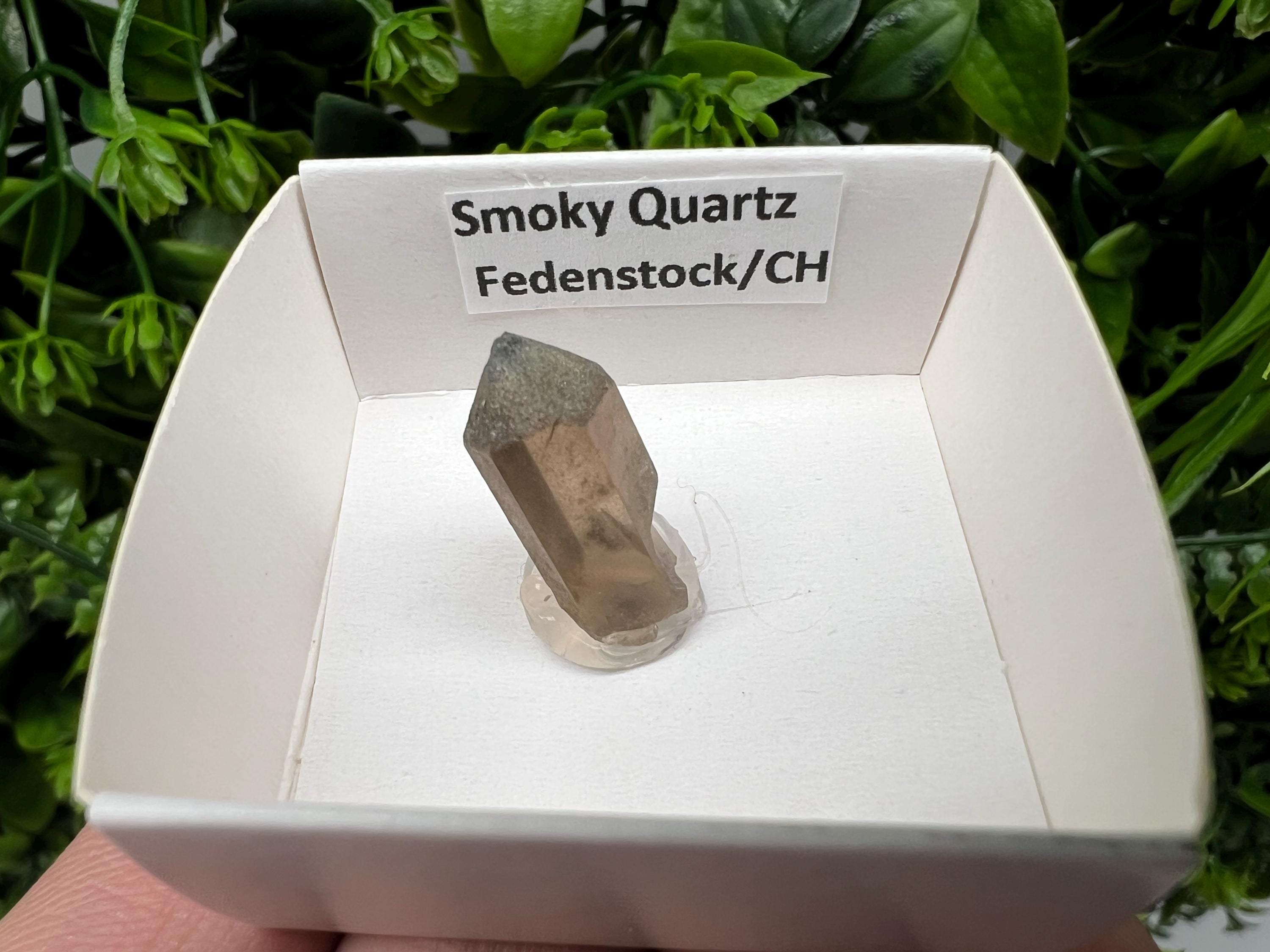 Rare Fedenstock Smoky Quartz Point, Swiss Mineral Specimen (20MM)