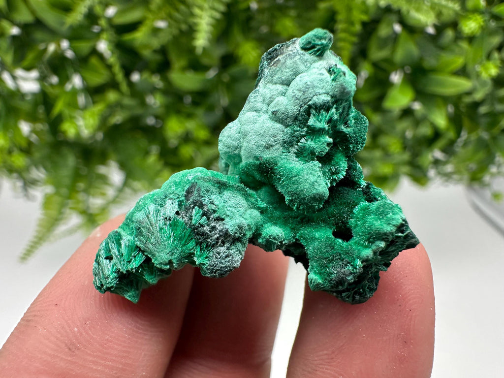Malachite Crystal from Congo,Minerals,Crystals from Congo,Green Malachite, Malachite,Natural Malachite,Malachite Stone,Chakra, Specimens