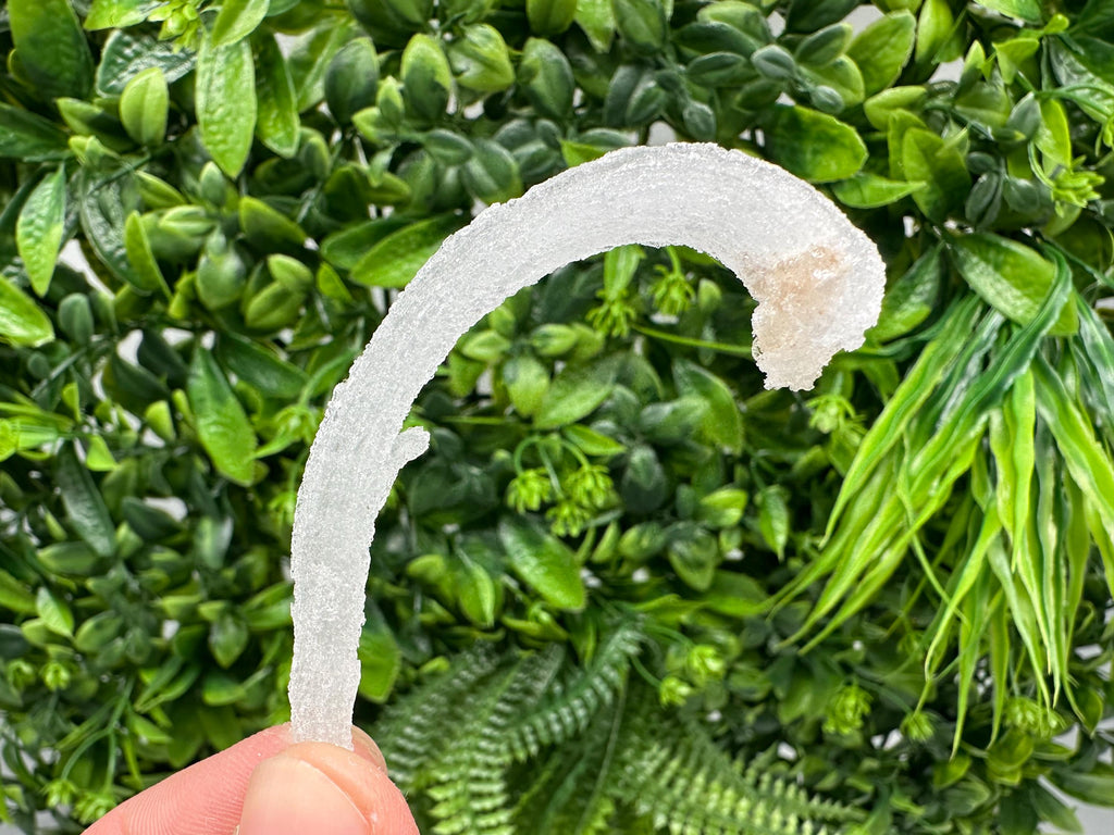 White Selenite Gypsum "Ram's Horn'' Selenite,from Guizhou,China,perfect Shape and Luster,Fluorescent Selenite Gypsum,minerals specimen,colle