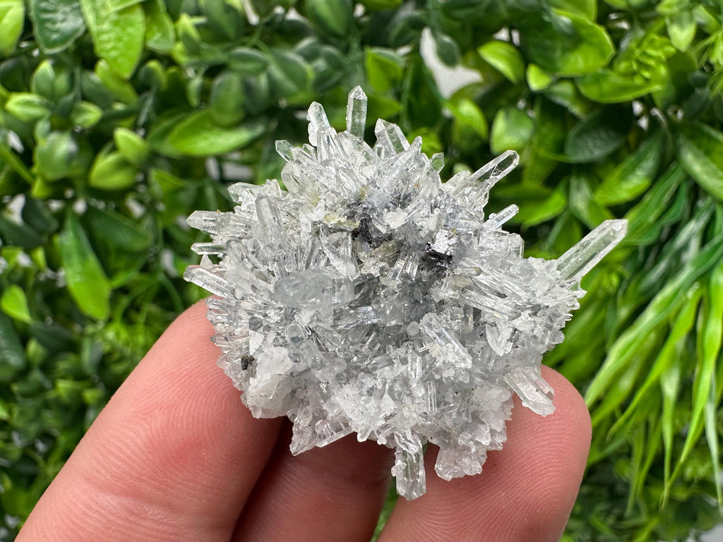Chlorite Quartz Crystal Cluster - Borieva Mine, Bulgaria