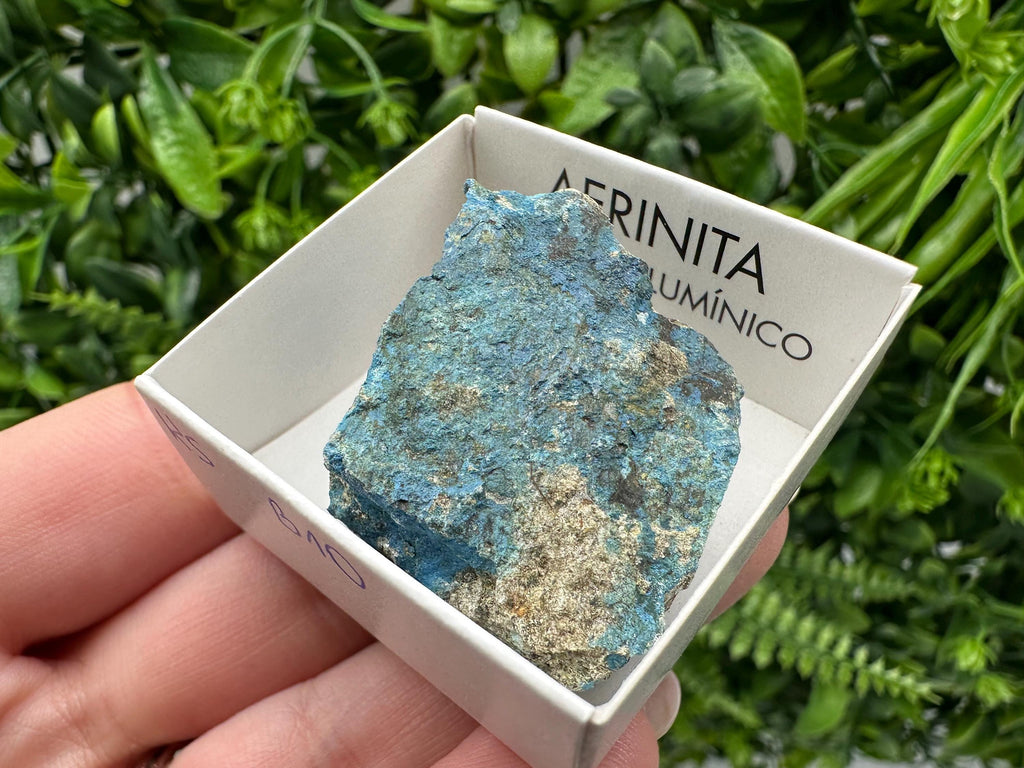 Rare Raw Aerinite Mineral Specimen: Lleida, Spain Crystal