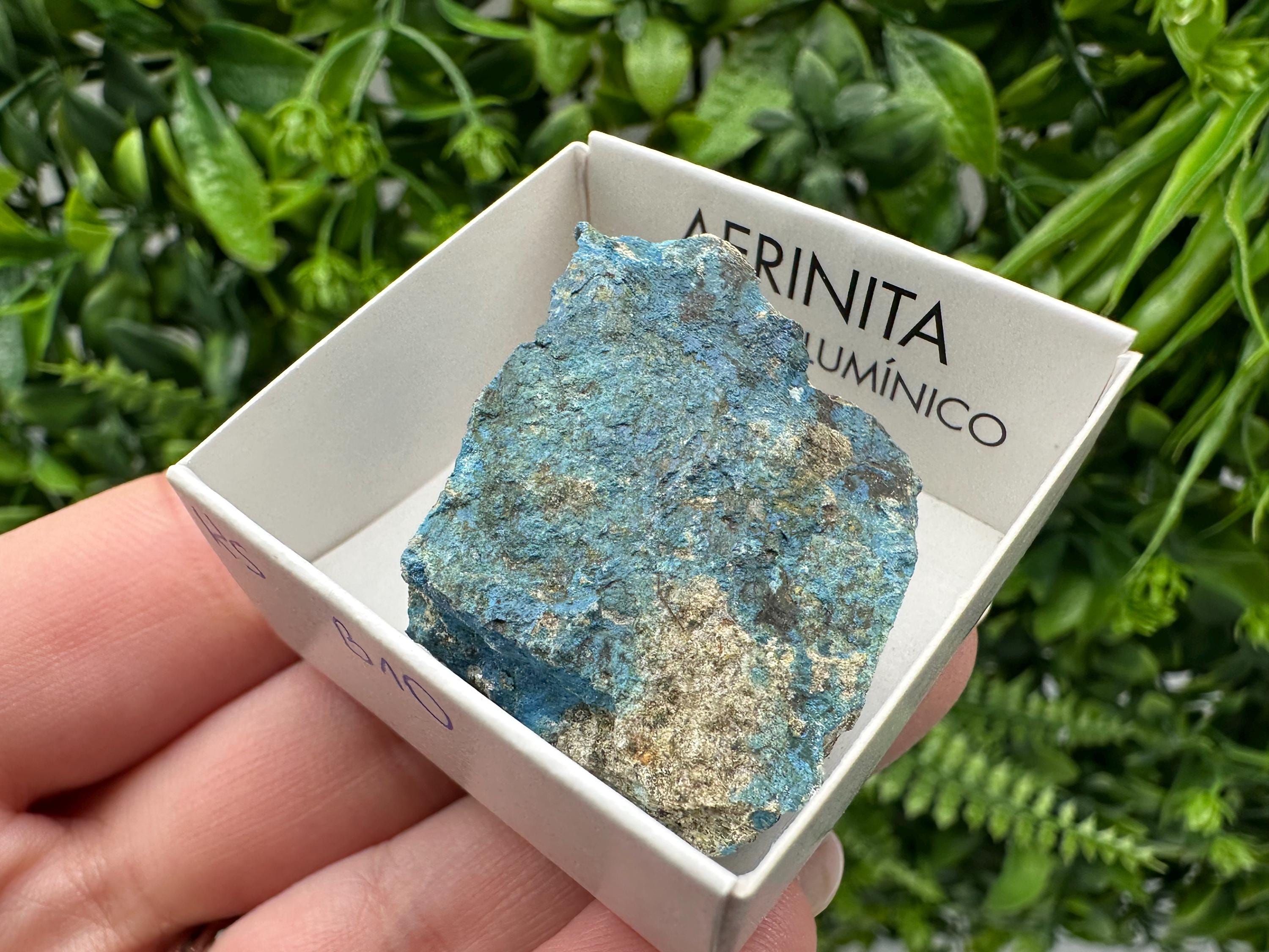 Rare Raw Aerinite Mineral Specimen: Lleida, Spain Crystal