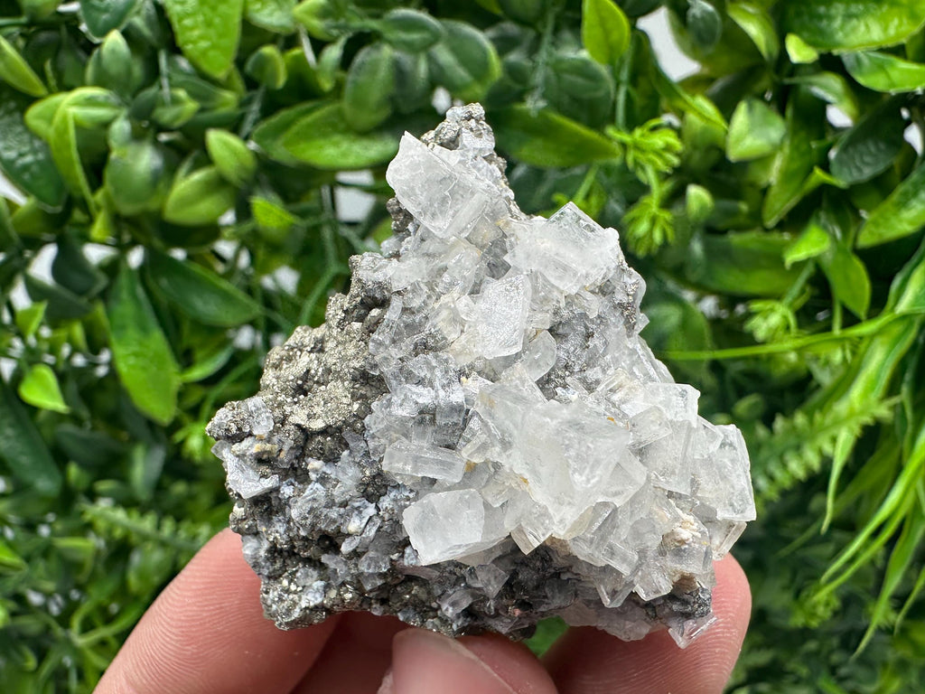 Barite Marcasite Chalcedony Cluster: Androvo Mine, Bulgaria