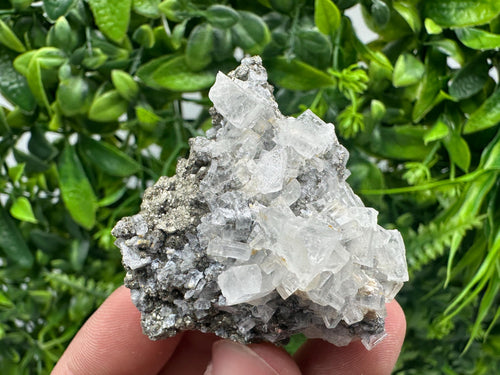 Barite Marcasite Chalcedony Cluster: Androvo Mine, Bulgaria
