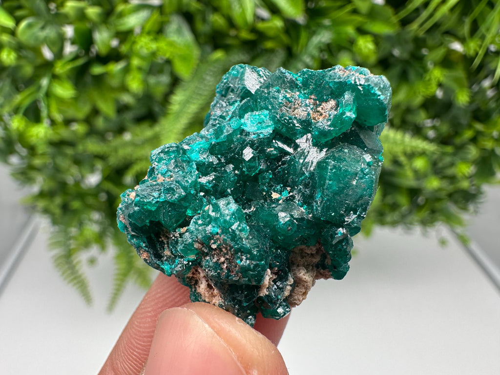Stunning Green Dioptase from Sanda Hills,Mindouli,Pool Department,Mindouli District,Congo,green Dioptase,Dioptas Crystal,Dioptase collecting