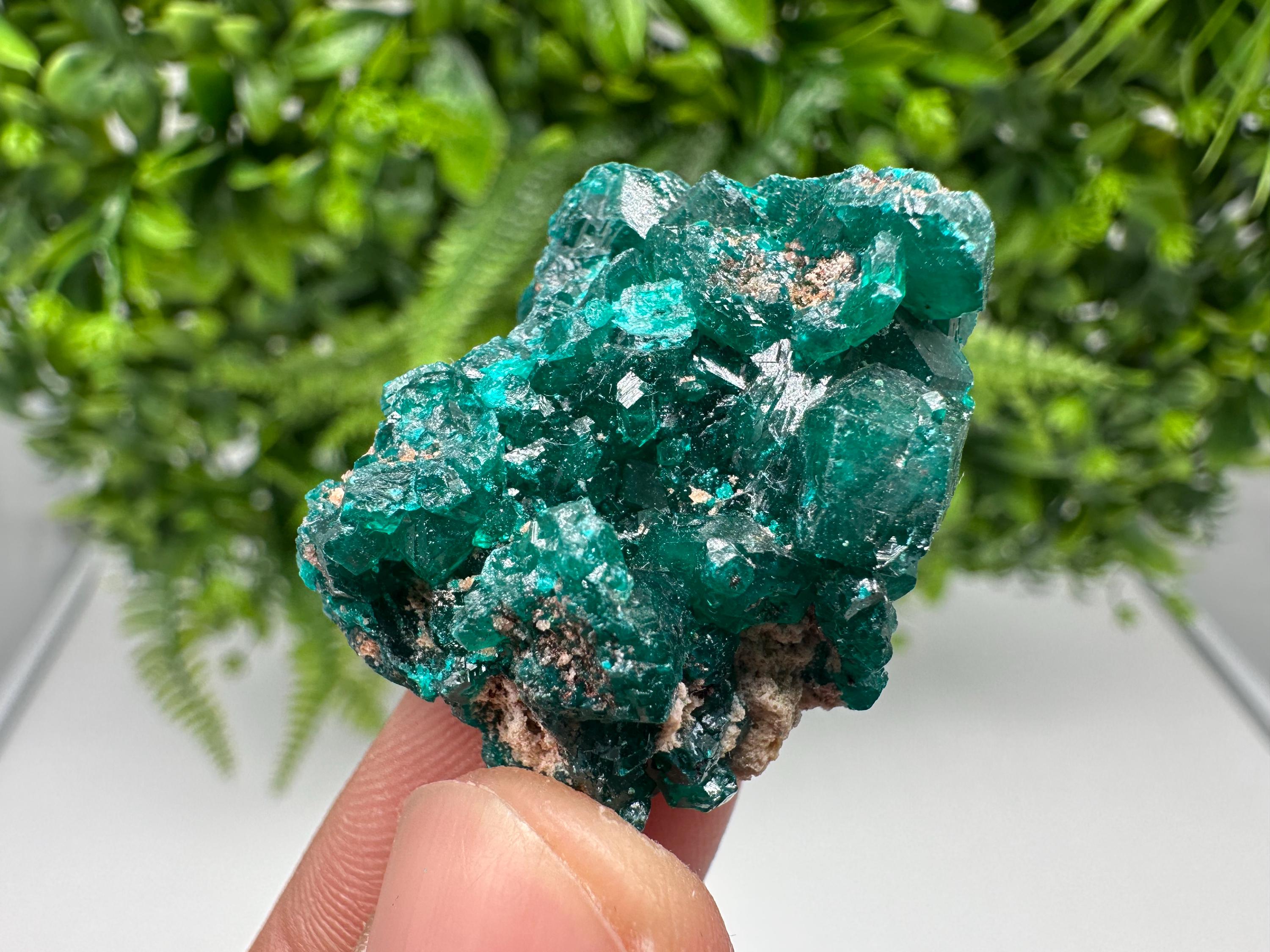 Stunning Green Dioptase from Sanda Hills,Mindouli,Pool Department,Mindouli District,Congo,green Dioptase,Dioptas Crystal,Dioptase collecting