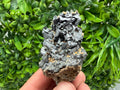 Natural Shiny Galena Cluster with Siderite and Quartz, Bulgaria Collection Specimen