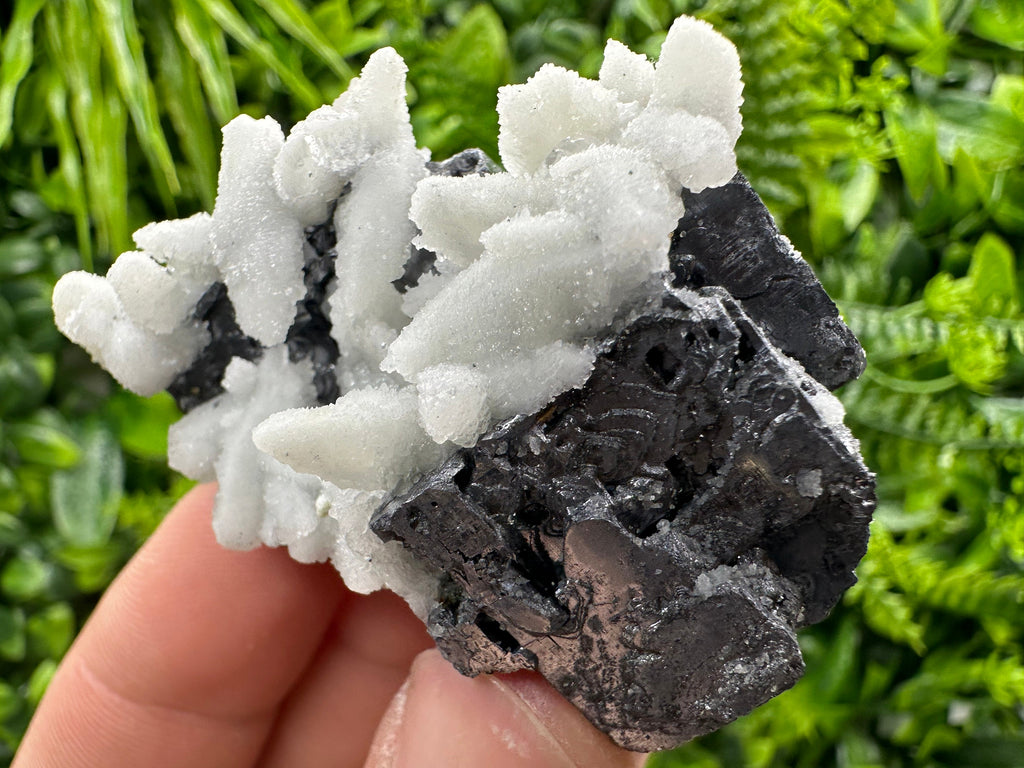 Rare Calcite on Galena: Borieva Mine, Bulgaria