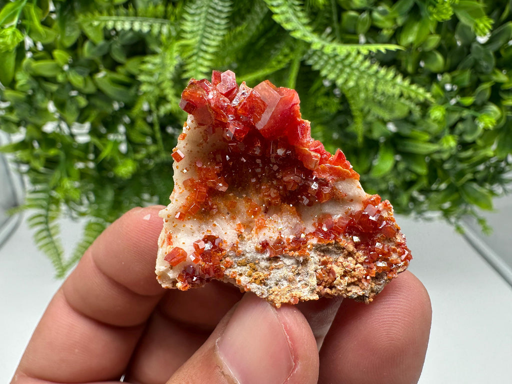 Red Vanadinite on Barite, Morocco Crystal Cluster