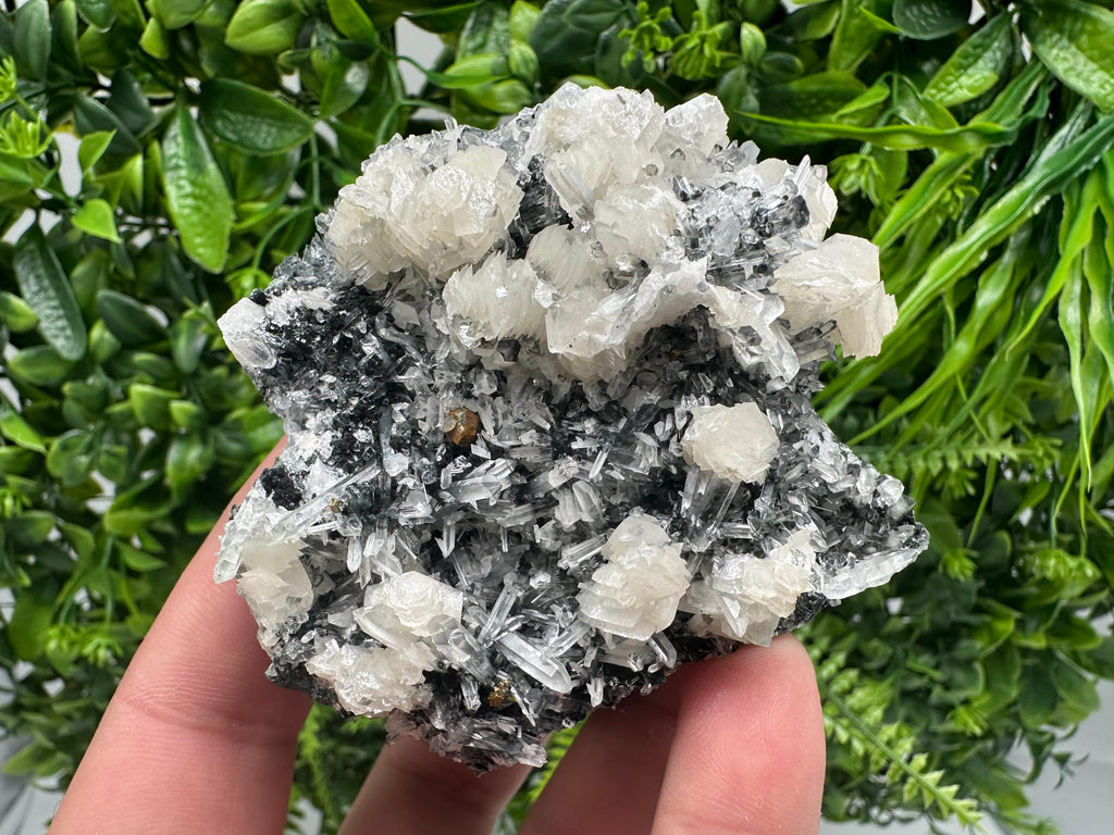 UV Fluorescence Calcite on Sphalerite Quartz, Borieva Bulgaria Mineral Specimen