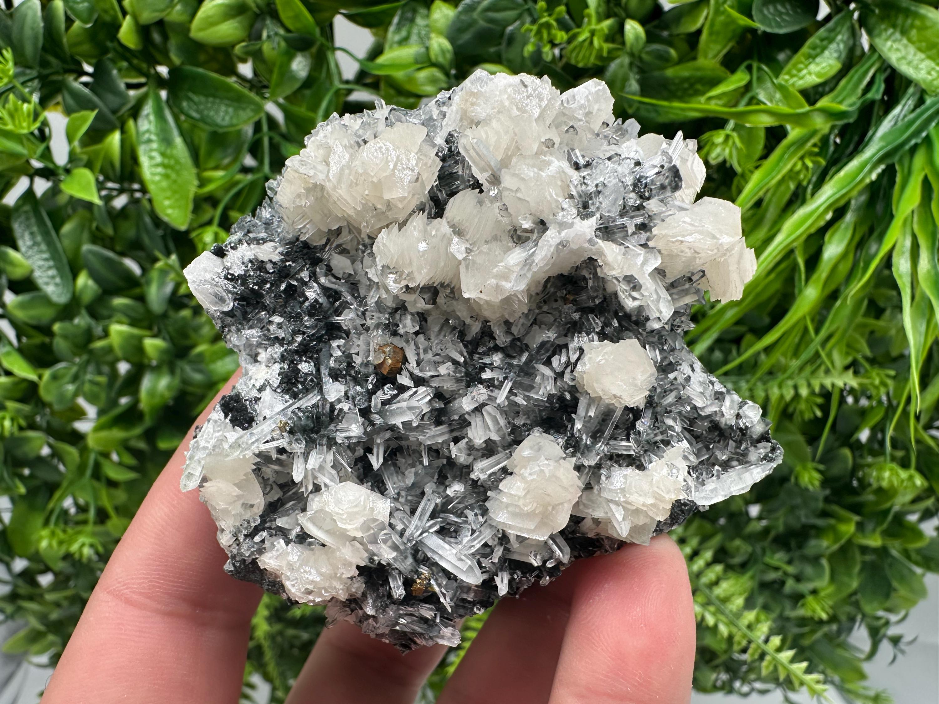 UV Fluorescence Calcite on Sphalerite Quartz, Borieva Bulgaria Mineral Specimen