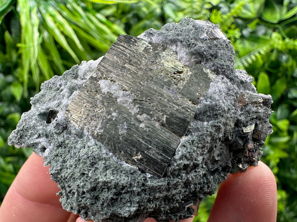 Pyrite with Chlorite: Natural Mineral Souvenir from Bulgaria
