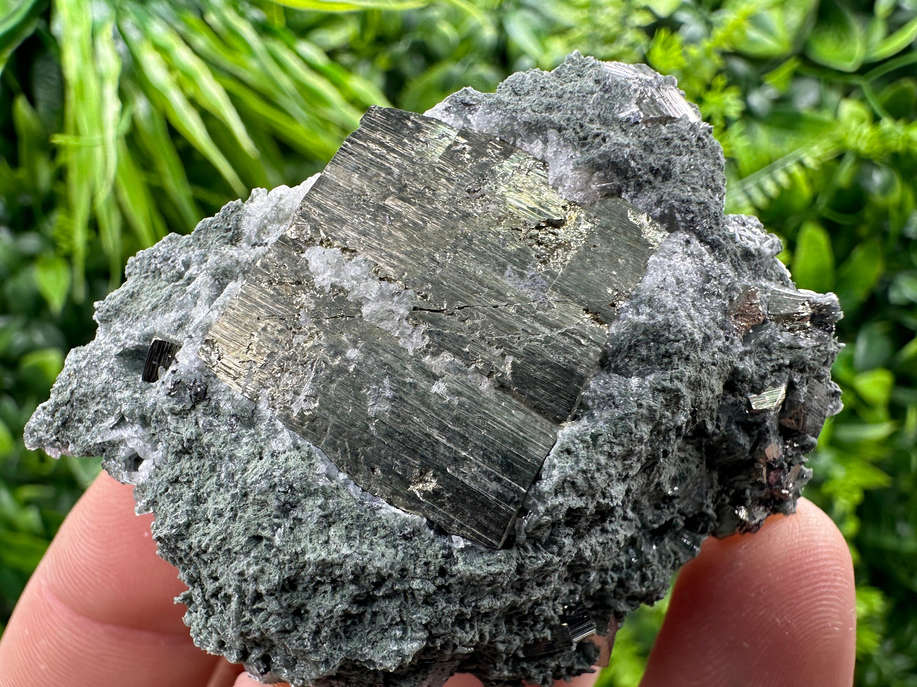 Pyrite with Chlorite: Natural Mineral Souvenir from Bulgaria