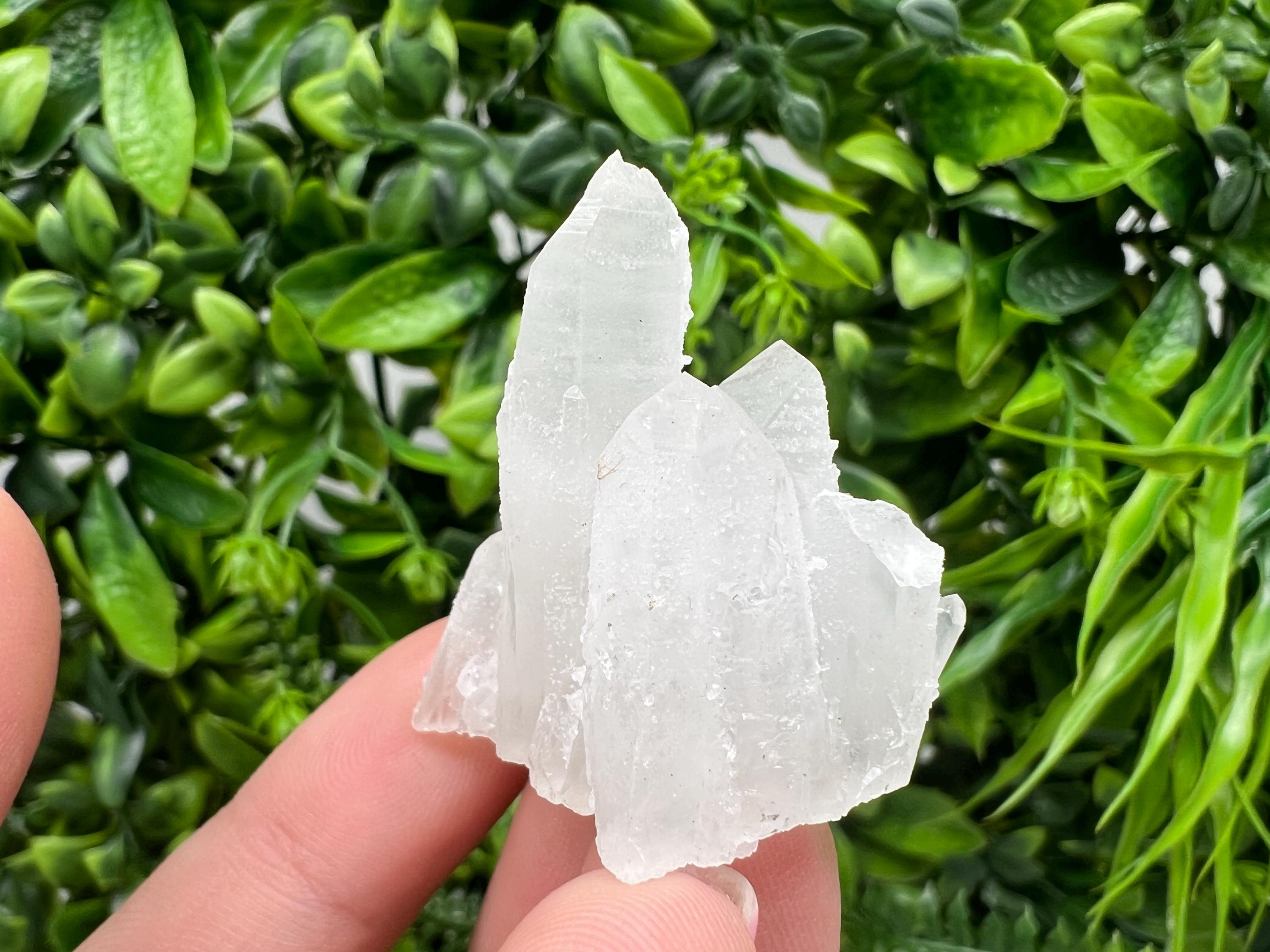 Transparent Quartz on Chlorite Matrix, Borieva Mine, Bulgaria