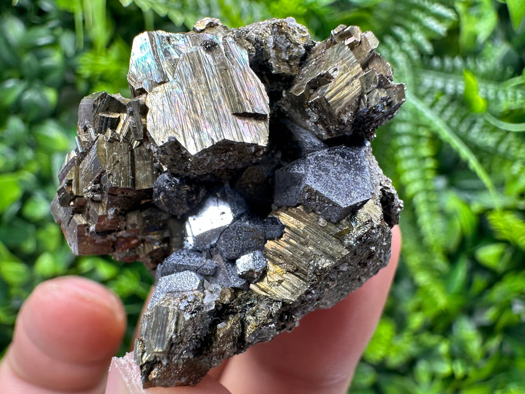 Pyrite with Hematite Specimen, Madan Bulgaria Mineral Gift