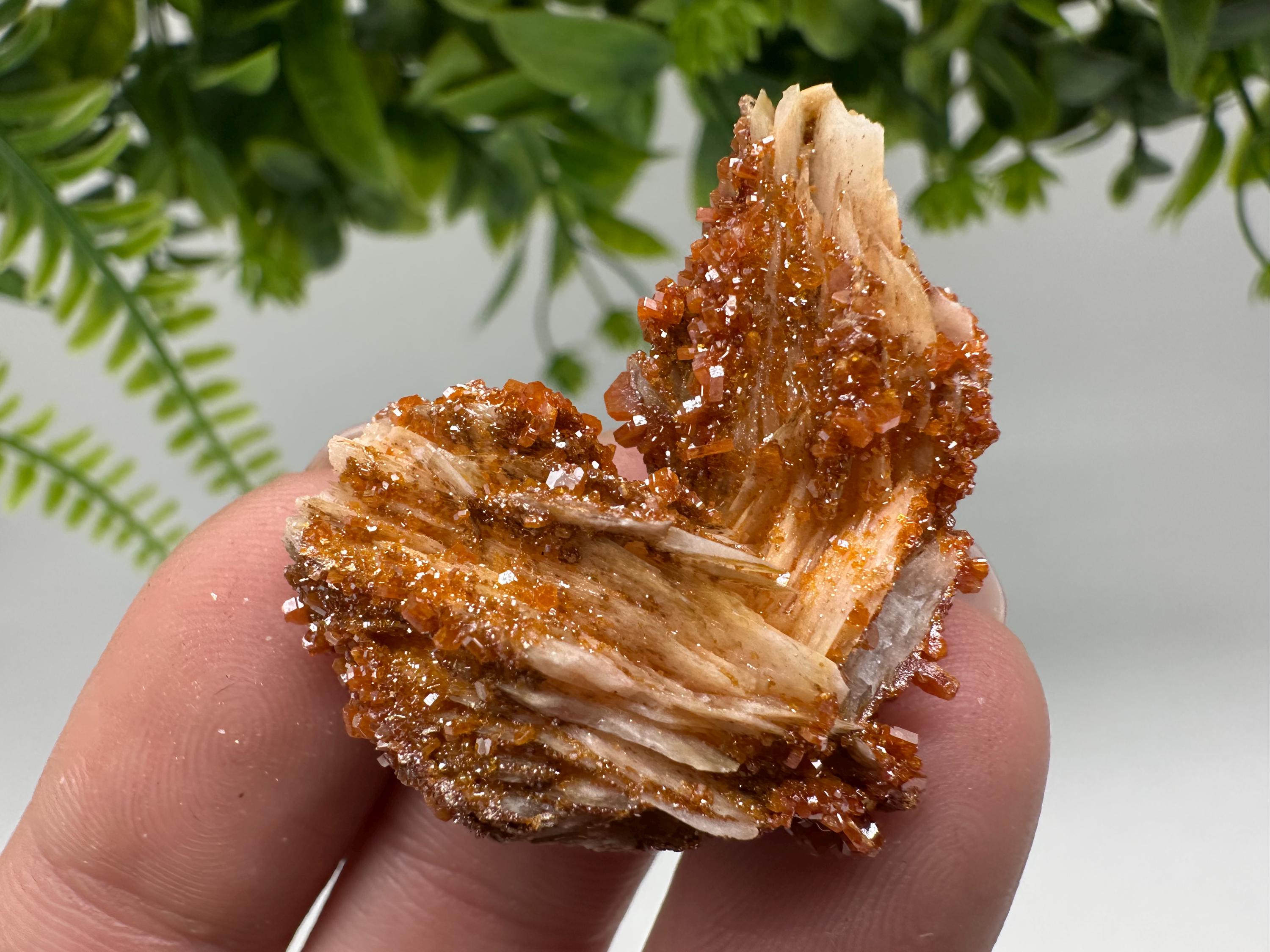 Red Vanadinite on Barite Cluster, Morocco Crystal Specimen