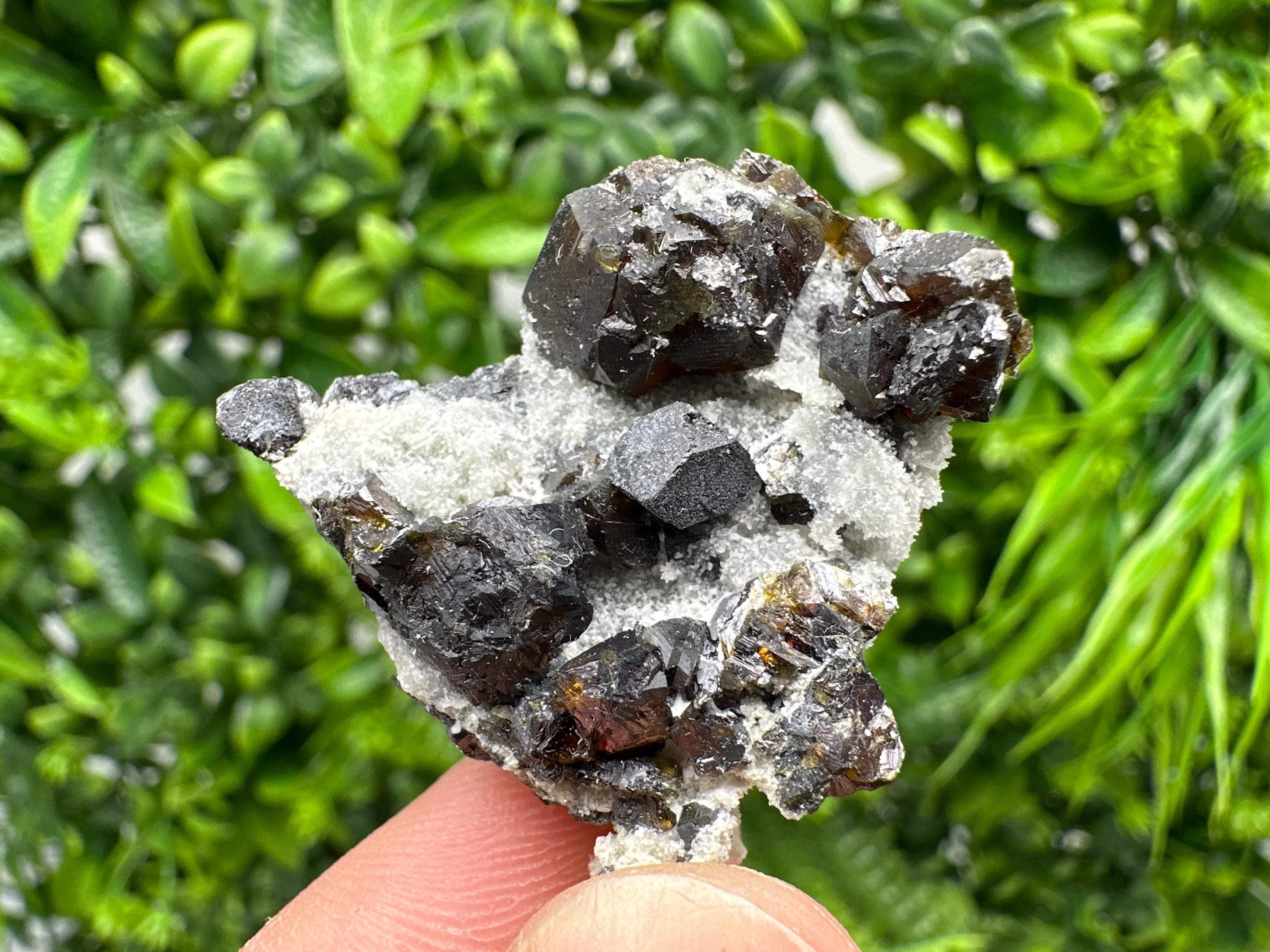 Cleiophane Sphalerite Gem: Rare Transparent Yellow Crystal Mineral