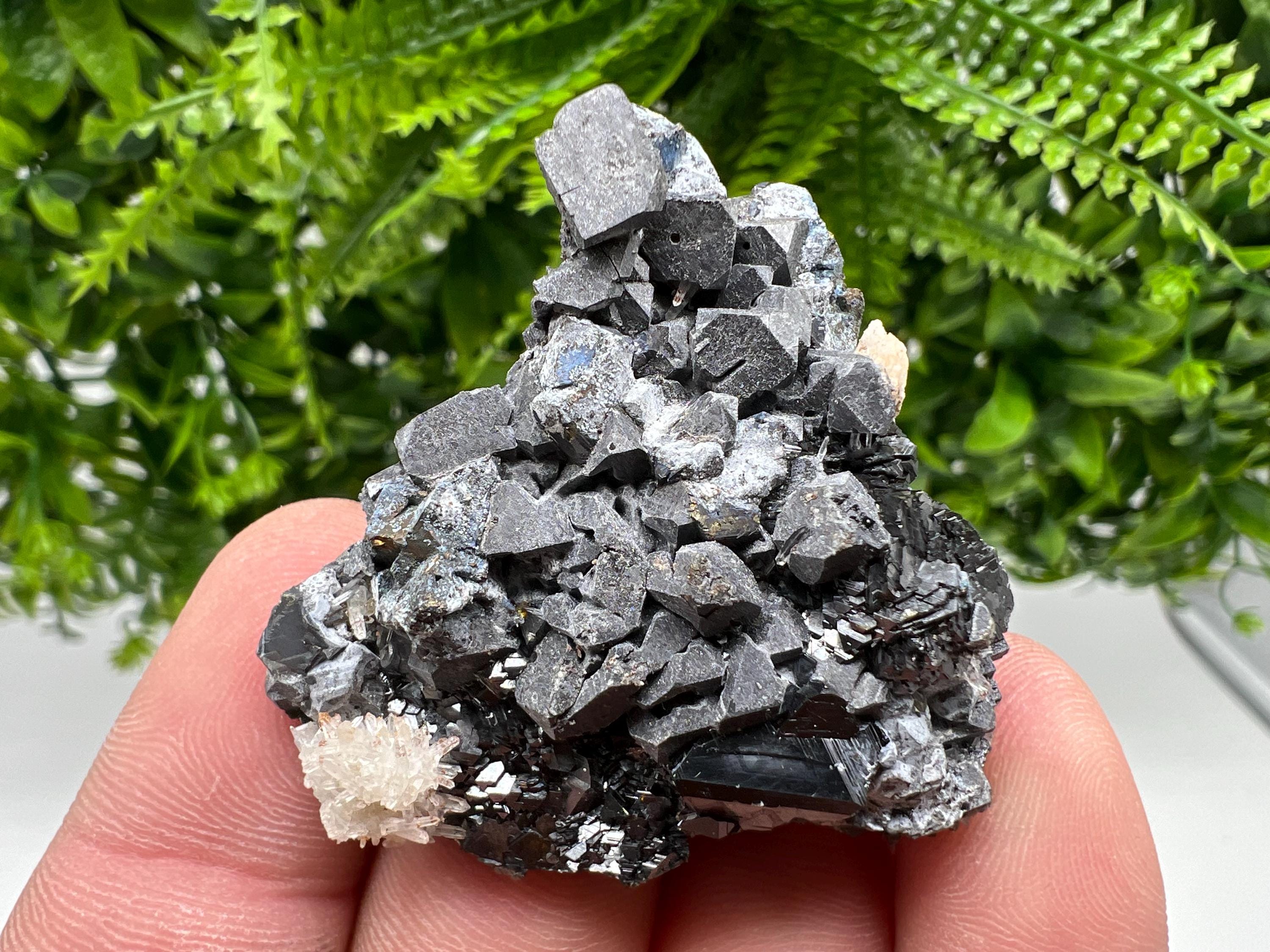 Shiny Galena Cluster with Siderite and Quartz, Bulgaria Mineral Specimen