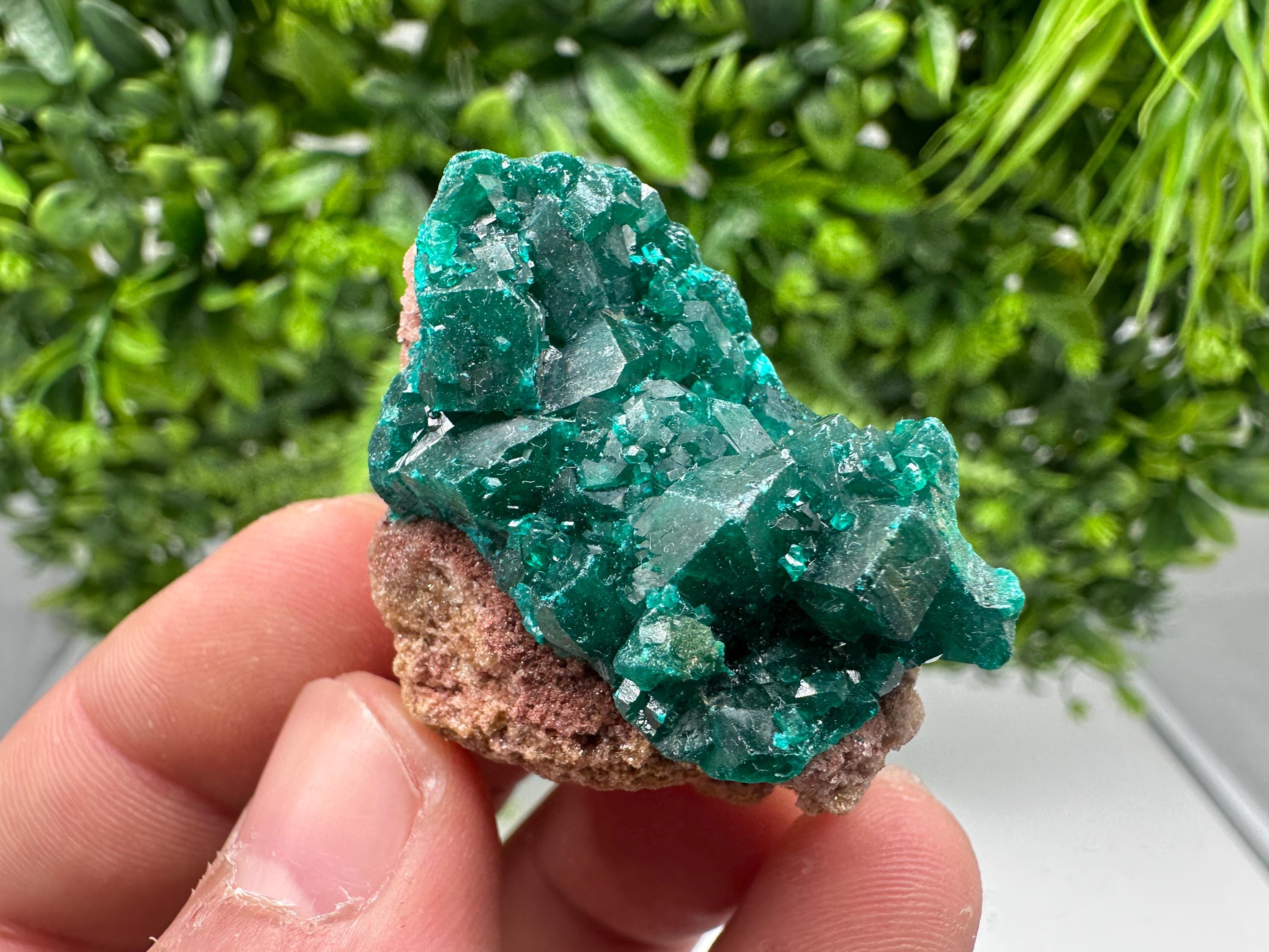 Stunning Green Dioptase from Sanda Hills,Mindouli,Pool Department,Mindouli District,Congo,green Dioptase,Dioptas Crystal,Dioptase collecting