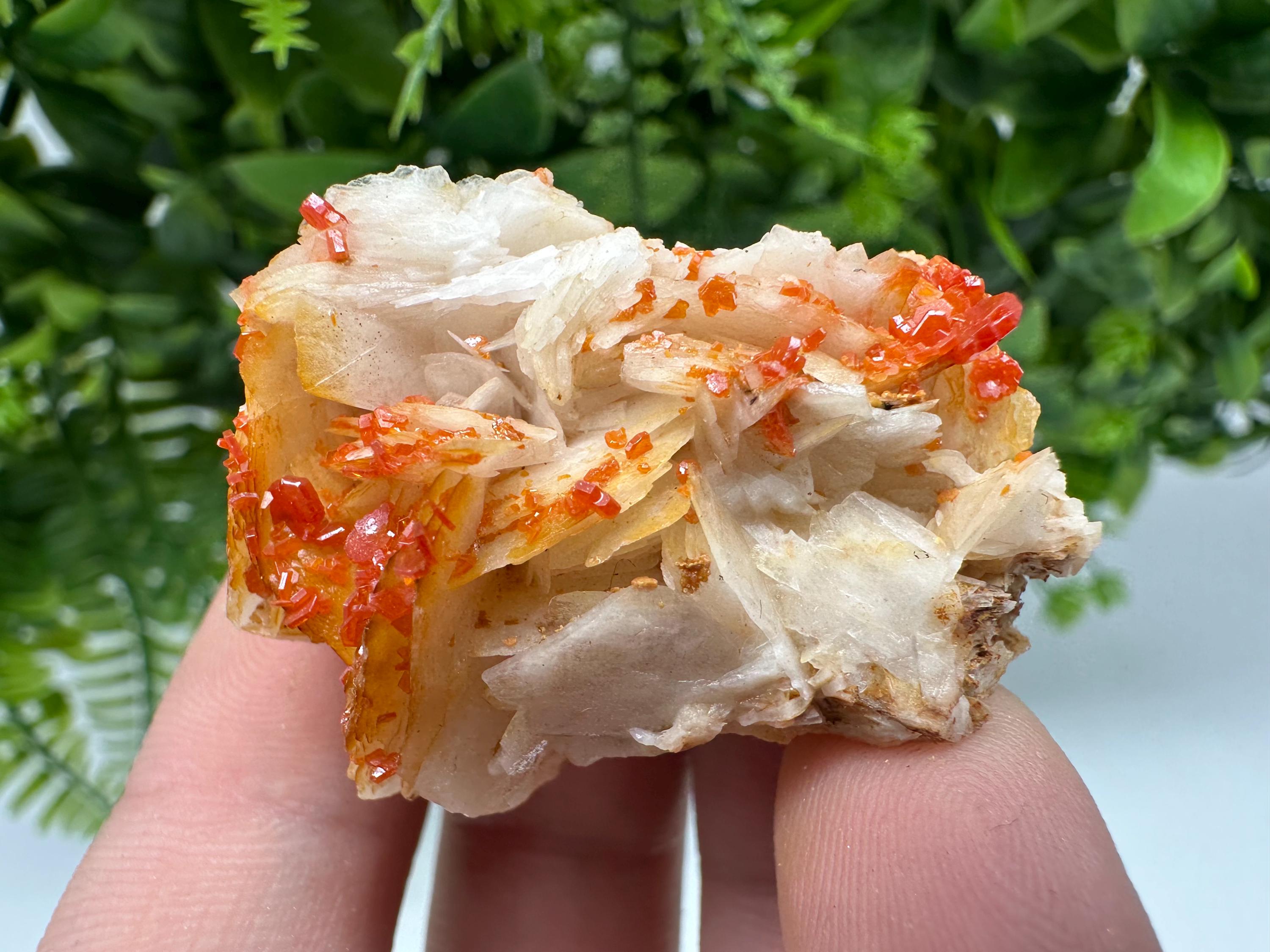 Red Vanadinite on Barite from Marocco,crystal minerals Speciment cluster Vanadinite crystal Vanadinite Geology Vanadinite cluster minerals