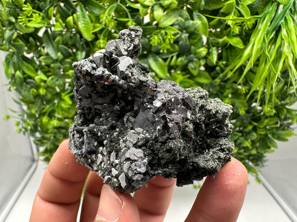 Quartz, Chlorite, Galena & Sphalerite Mineral Specimen: Borieva Mine