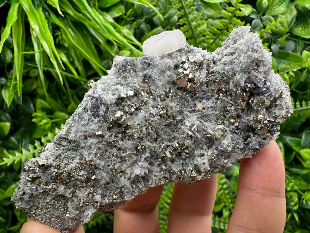 Pyrite on Quartz Specimen: Borieva Mine Bulgaria, Home Decor