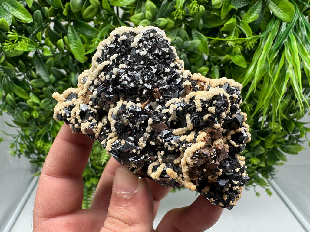 Lovely Calcite whit chlorite on Sphalerite feom Borieva mine Madan Bulgaria natural minerals home decor souvenir gift collection specimen