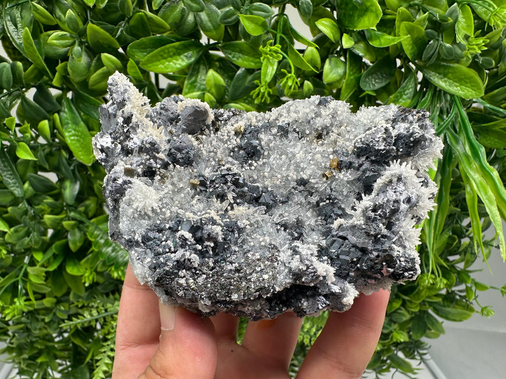 Galena Quartz Pyrite Mineral Specimen: Krushev Dol Mine, Bulgaria
