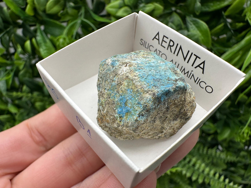 Rare Raw Aerinite Mineral Specimen: Lleida, Spain Crystal