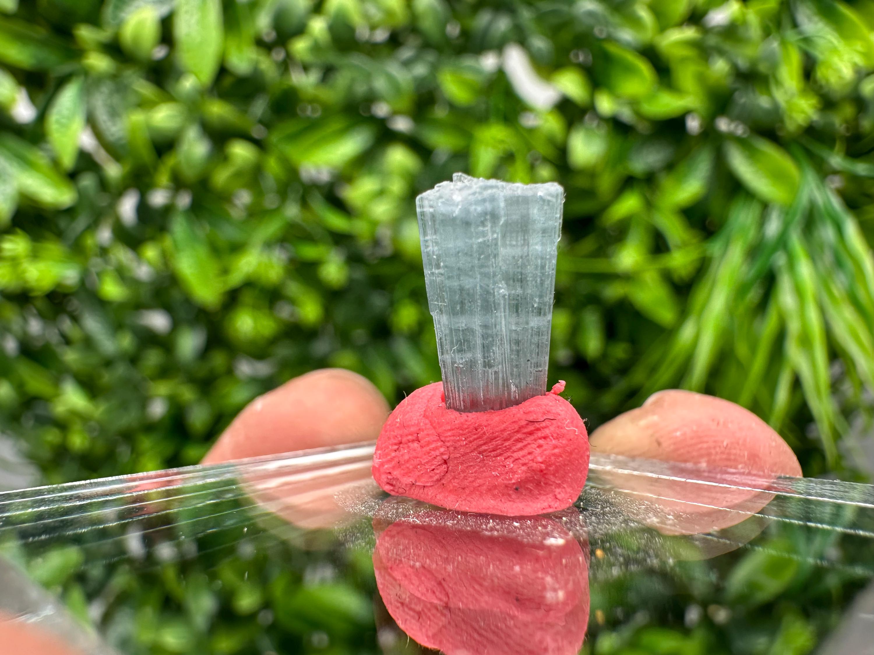 Rare Pink and Green Tourmaline Rubellite Rough Pencil - 15mm