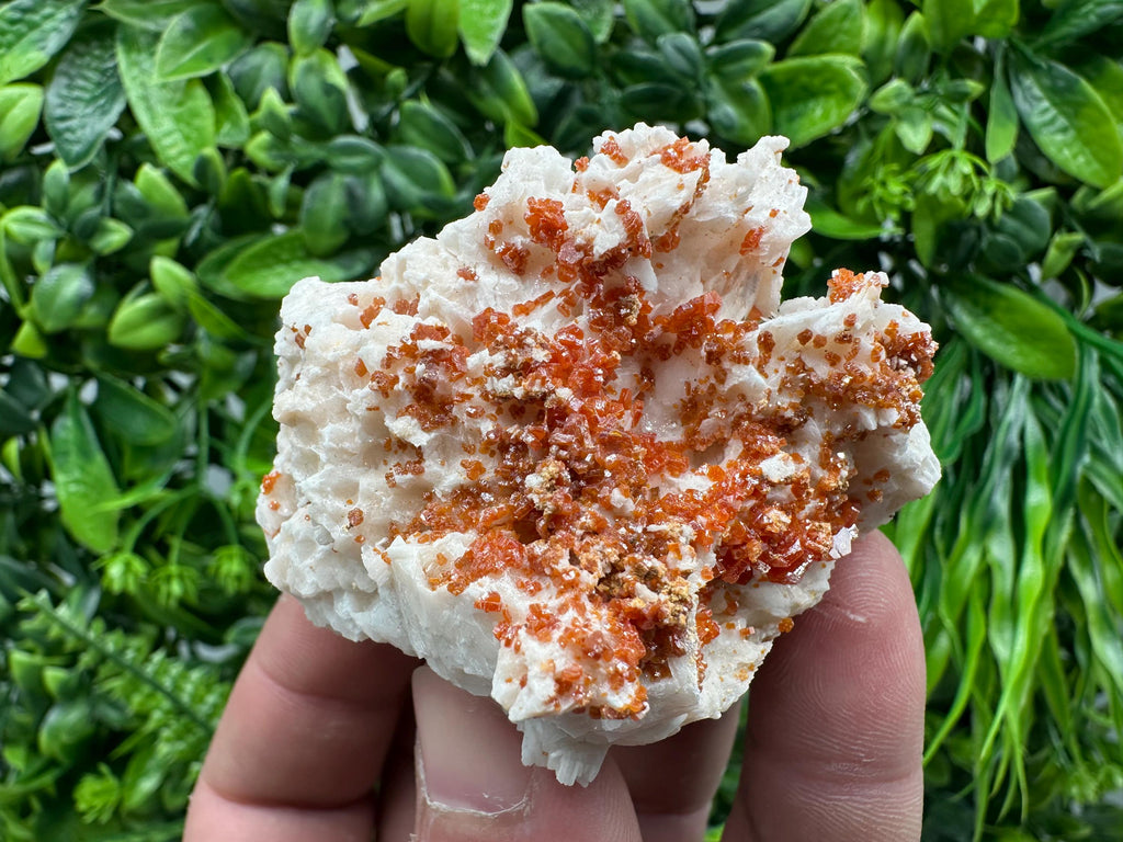 Red Vanadinite Crystal on Barite Matrix, Morocco Mineral Specimen
