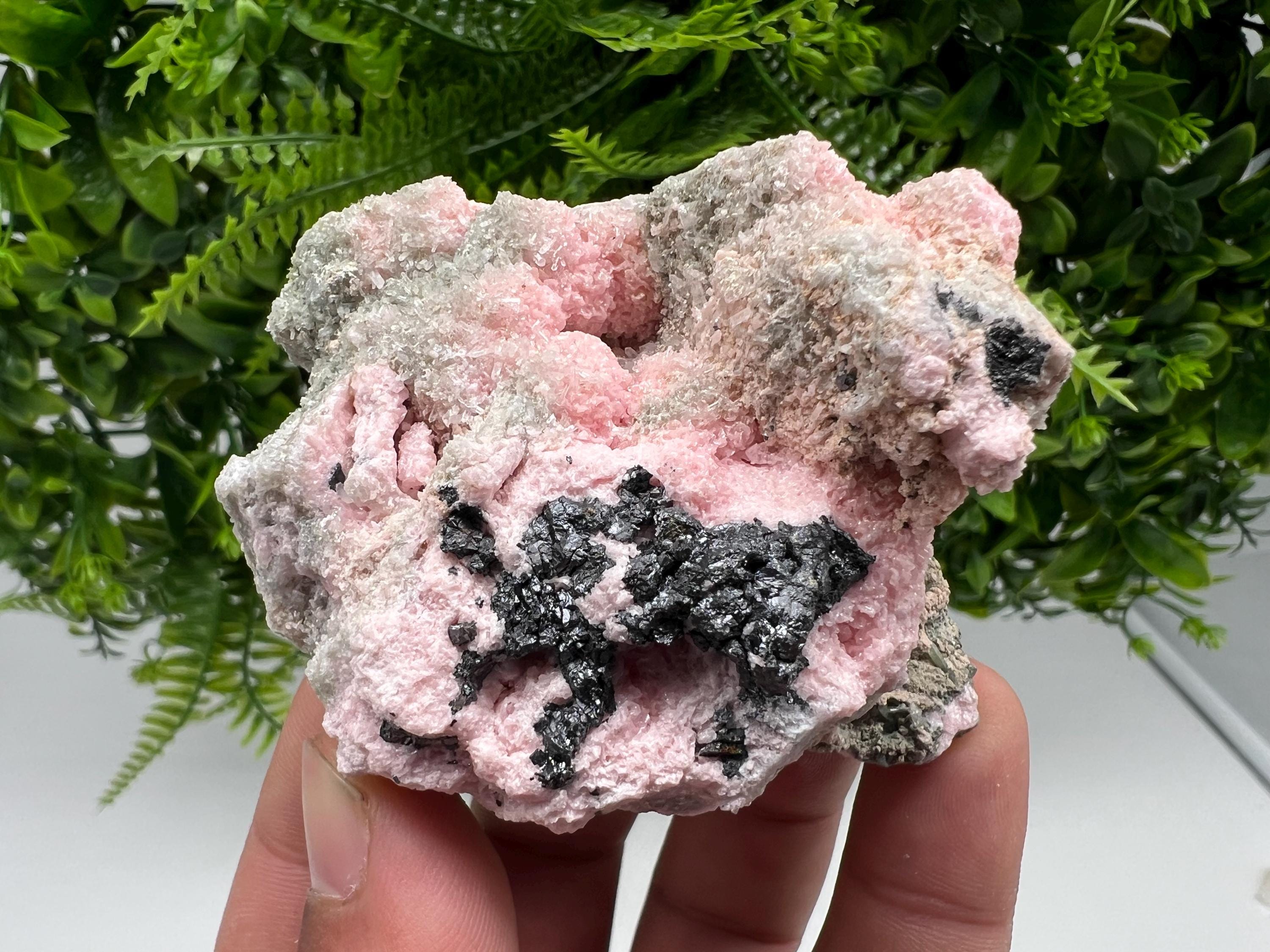 RARE Rhodochrosite with Calcite, Starnica Mine, Bulgaria