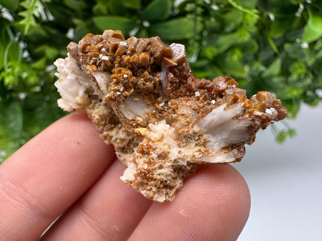 Red Vanadinite on Barite from Marocco,crystal minerals Speciment cluster Vanadinite crystal Vanadinite Geology Vanadinite cluster minerals